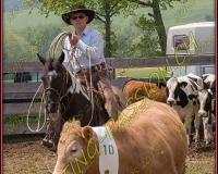 1NODS 0351